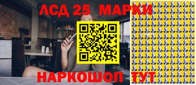 шишки Апшеронск