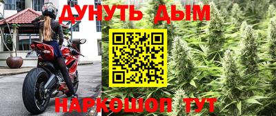 прущие грибы Аргун