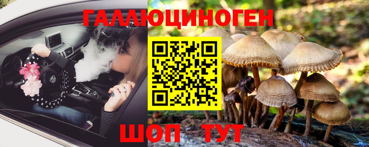 купить наркоту  Вход с VPN  Борисоглебск  Псилоцибиновые грибы MAGIC MUSHROOMS 