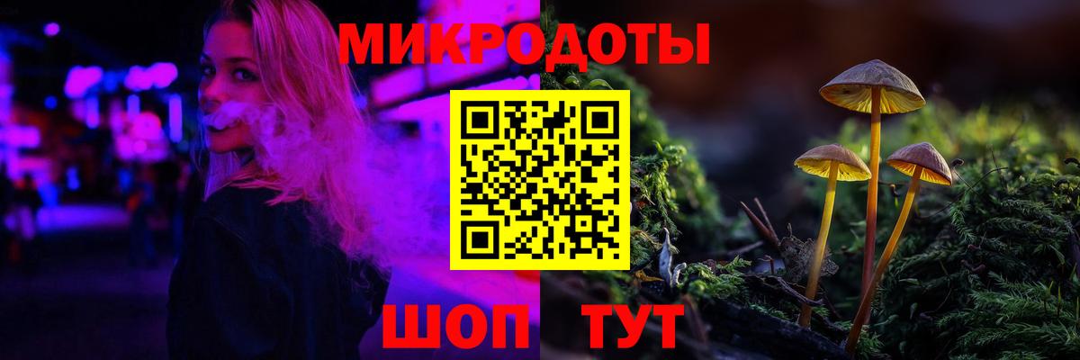Псилоцибиновые грибы Psilocybe Борисоглебск